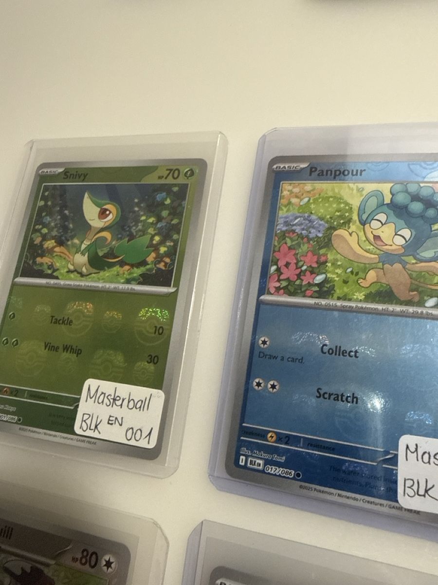 Pokémon Carte collezionabili: Black Bolt Masterball EN – Nuovo (secondo la descrizione) da Zürich venduto da Denise-8050 2