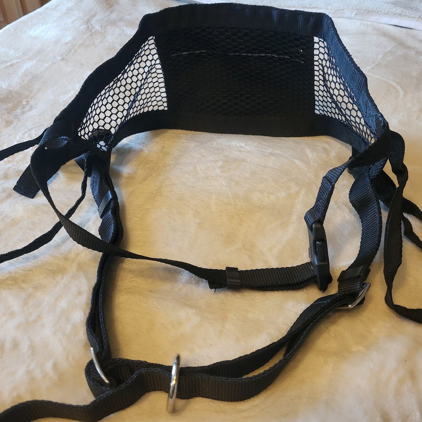 Attrezzatura da arrampicata: NEEWA Hundegurt - NEU! – Nuovo (secondo la descrizione) da Tägertschi venduto da TheChange 1