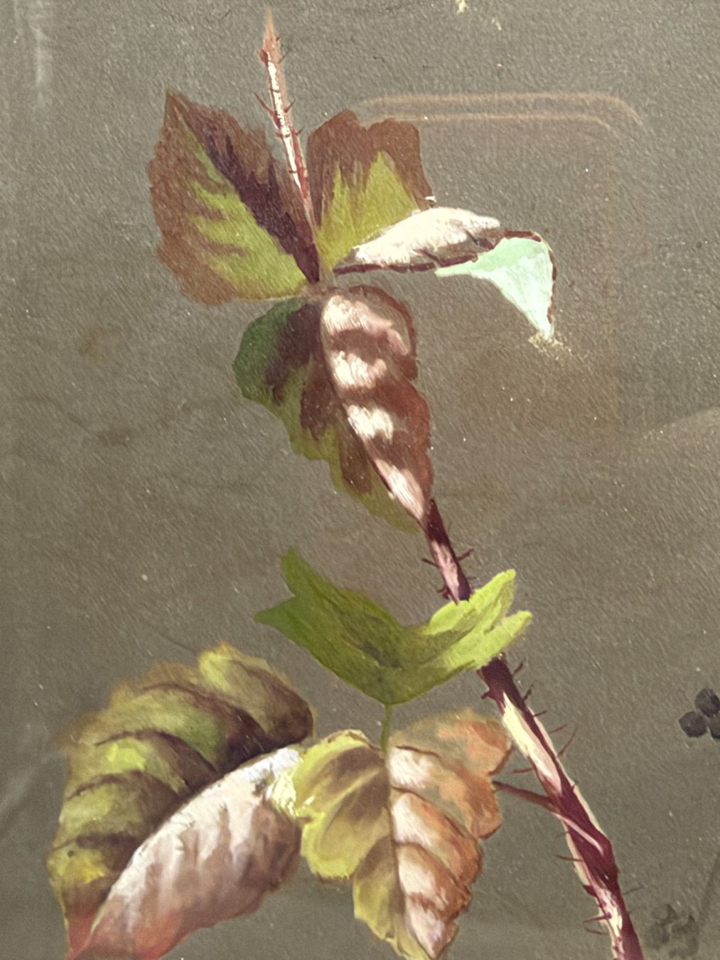 Gemälde: Gouache ancienne composition botanique XIXe siècle – Gebraucht aus Cossonay-Ville von Retrova 3