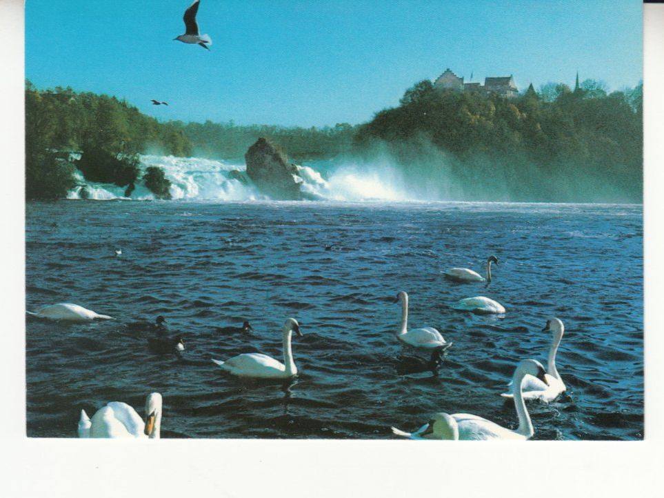 Ansichtskarten: Rheinfall ca. 1990 – Gebraucht aus Bürglen TG von StampGraf