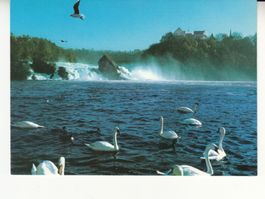 Rheinfall ca. 1990