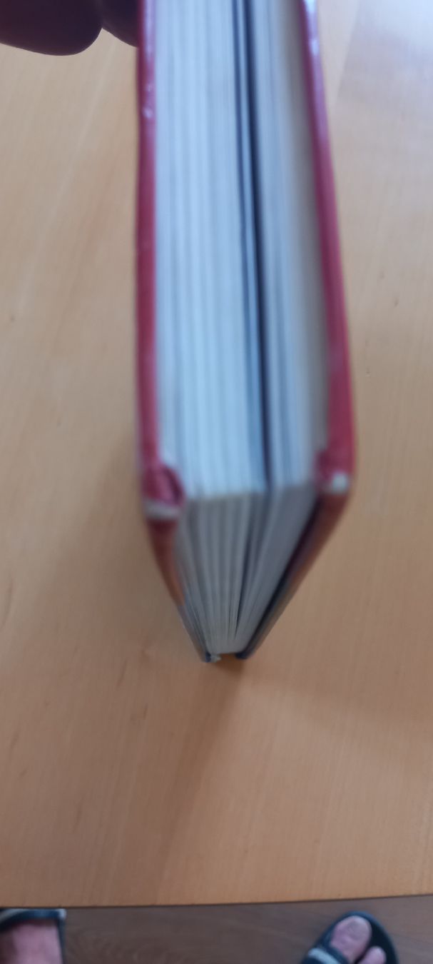 Libri: Die drei ??? Tanz der Hexen  – Usato da Oberwil-Lieli venduto da Deding 6