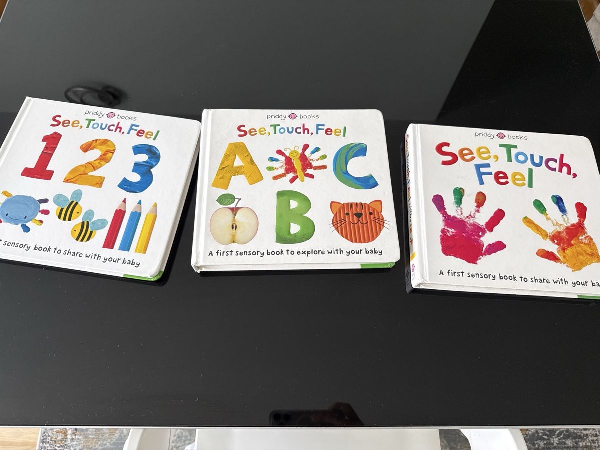 Libri: Large English sensory/toddler books bundle – Usato da Schlieren venduto da teu_2jh8 1