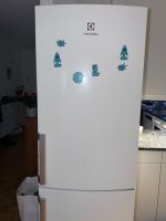 Electrolux SB330N Kühlschrank 328L – NoFrost, neuwertig