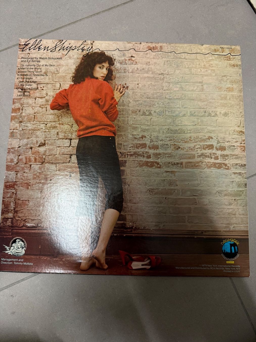 Dischi in vinile: Schallplatte / Ellen Shipley – Usato da Freidorf TG venduto da sarotiko 1
