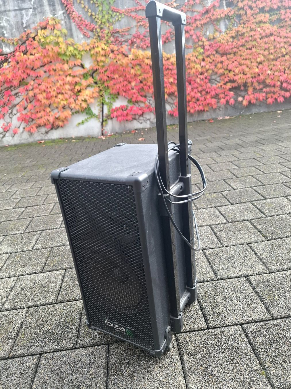 Sistemi audio & multimediali: Karaoke Gerät – Usato da Kaltbrunn venduto da Sunshine015 3