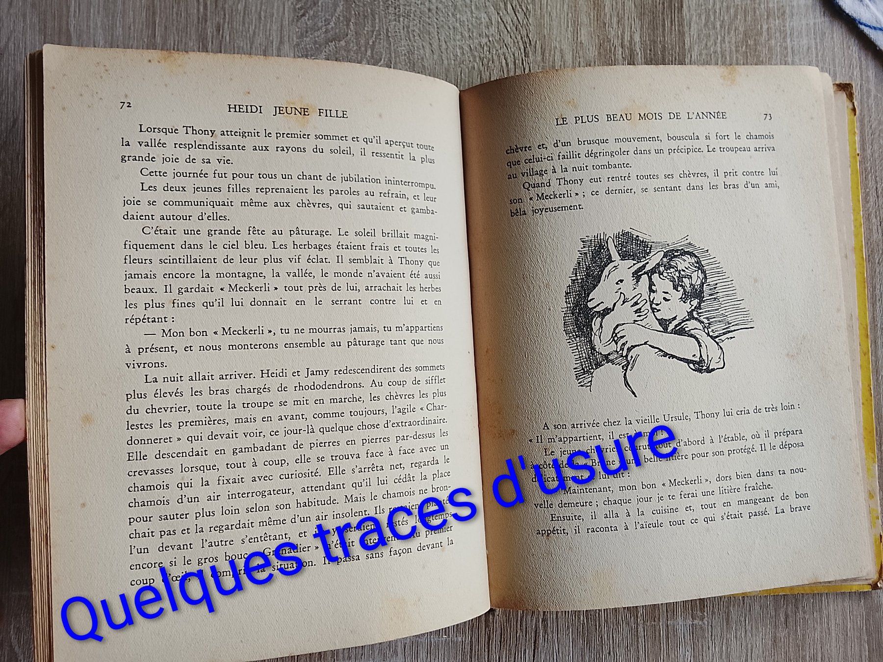 Libri: Livres Heidi – Usato da Couvet venduto da fat_kyl7 4