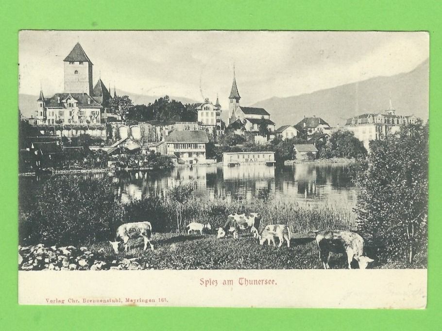 Cartoline postali: Spiez am Thunersee – Usato da Zürich venduto da t24_de