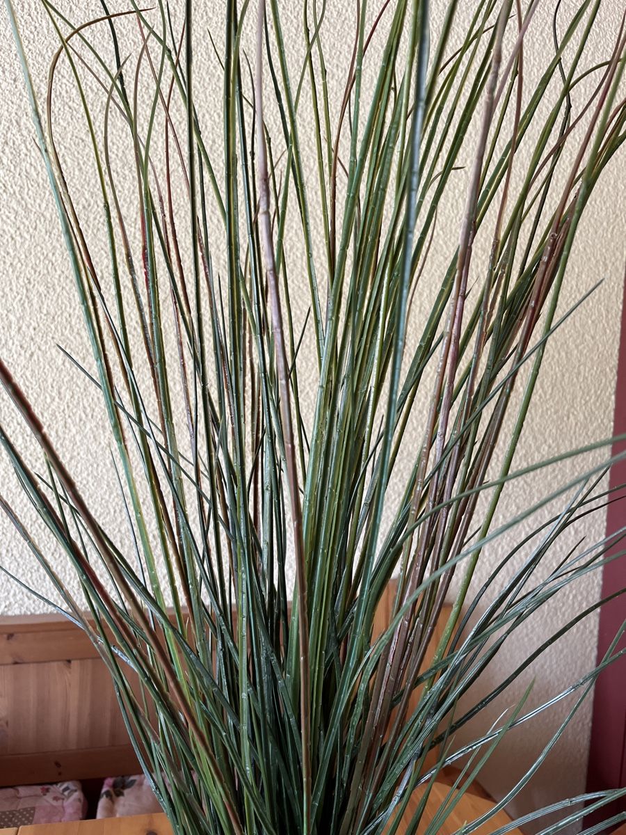 Ikea FEJKA Kunstpflanze Gras, 100cm hoch (Gebraucht) in Dbendorf fr CHF  10  nur Abholung auf Ricardo kaufen