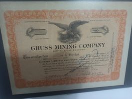 Aktienzertifikat 100 Gruss Mining Company