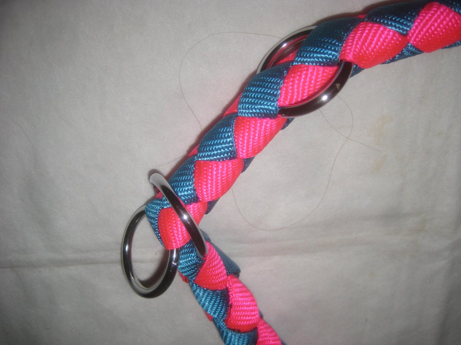 Leine & Halsband: HUNDE HALSBAND – Neu (gemäss Beschreibung) aus Uster von flocke1 1