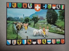 Alpabfahrt in der Ostschweiz Sennen Ziegen Kühe Kinder