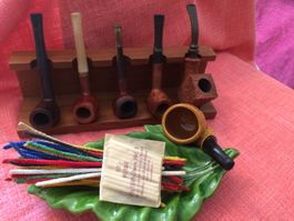 Collection de 5 pipes diverses marques avec support en bois