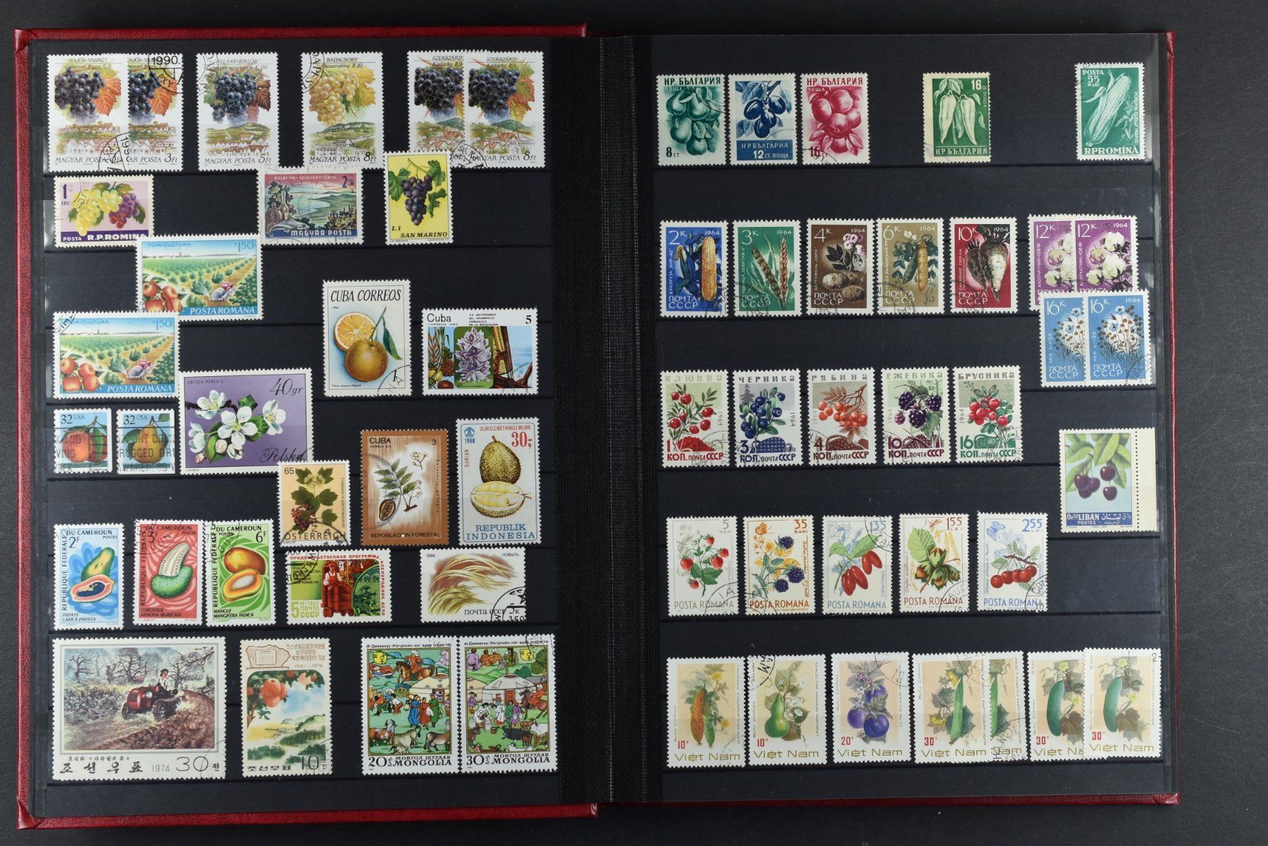 Tutti i francobolli: SAMMLUNG, BLUMEN, 2 EINSTECK-ALBEN, 900+ MARKEN – Usato da Wetzikon ZH venduto da Philimpex 8