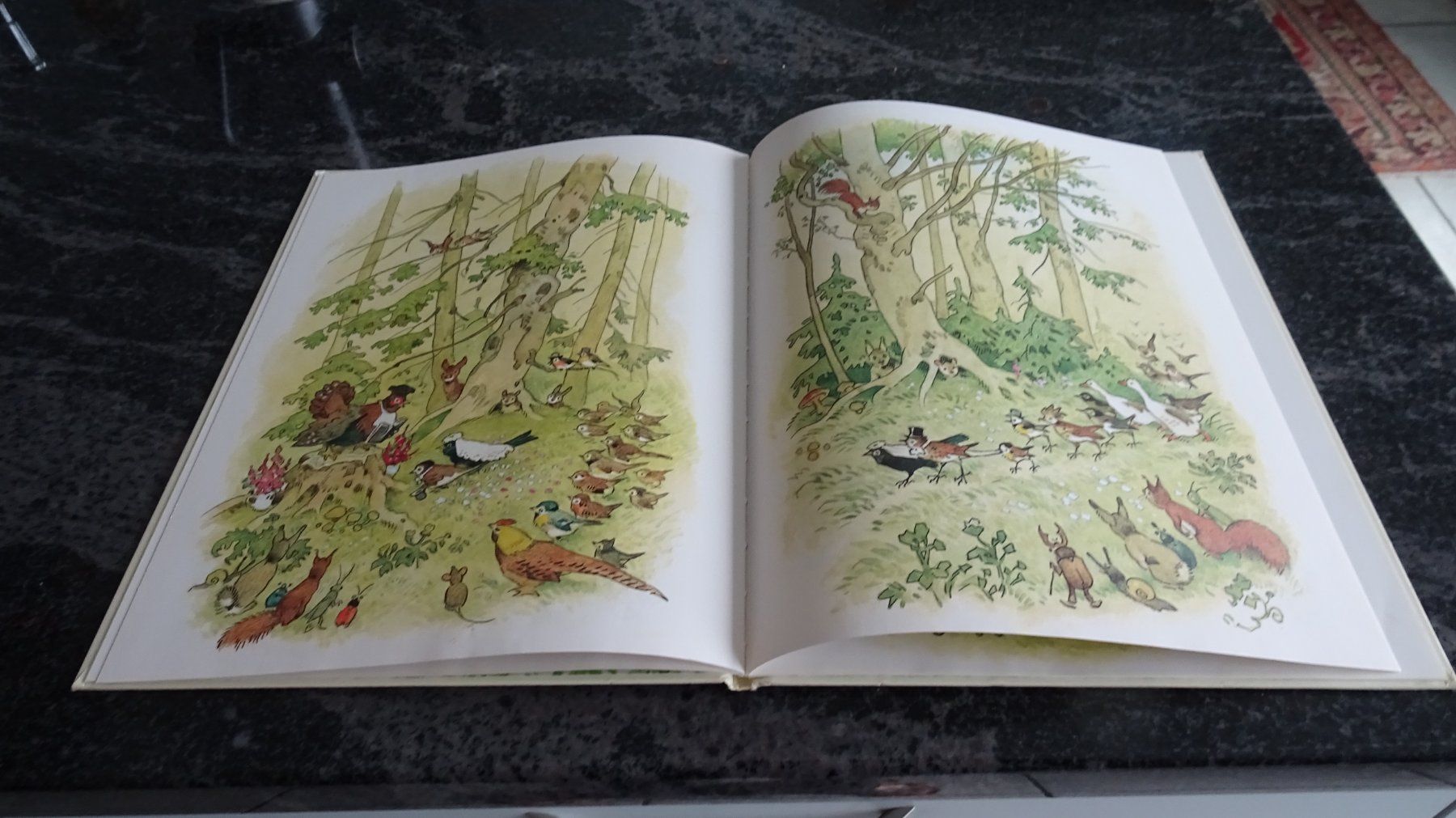 Bücher: Die Vogelhochzeit Eine Geschichte mit Bildern von F.Baumgart – Gebraucht aus Zürich von Roulet 7