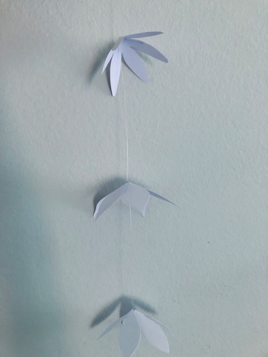 Tutte le decorazioni: Wunderschöne Papierblumen Girlande – Usato da Arlesheim venduto da leyRum4.5 4
