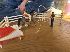 Schleich Pferde Voltigier-Set mit Reiterin und Zubehör!(1)