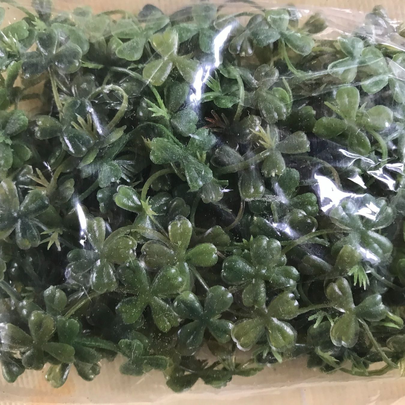Tutte le decorazioni: LOT WASSERPISTIA – Nuovo e nell'imballaggio originale da Ostermundigen venduto da wini63 4