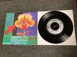 Siouxsie And the Banshees - Melt / Il Est Né Le Divin Enfant