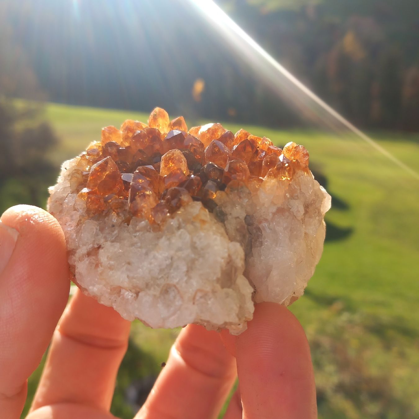 Pietre preziose: Citrin Quarz Druse Edelstein 200g – Usato da Ebnat-Kappel venduto da blazzi 1
