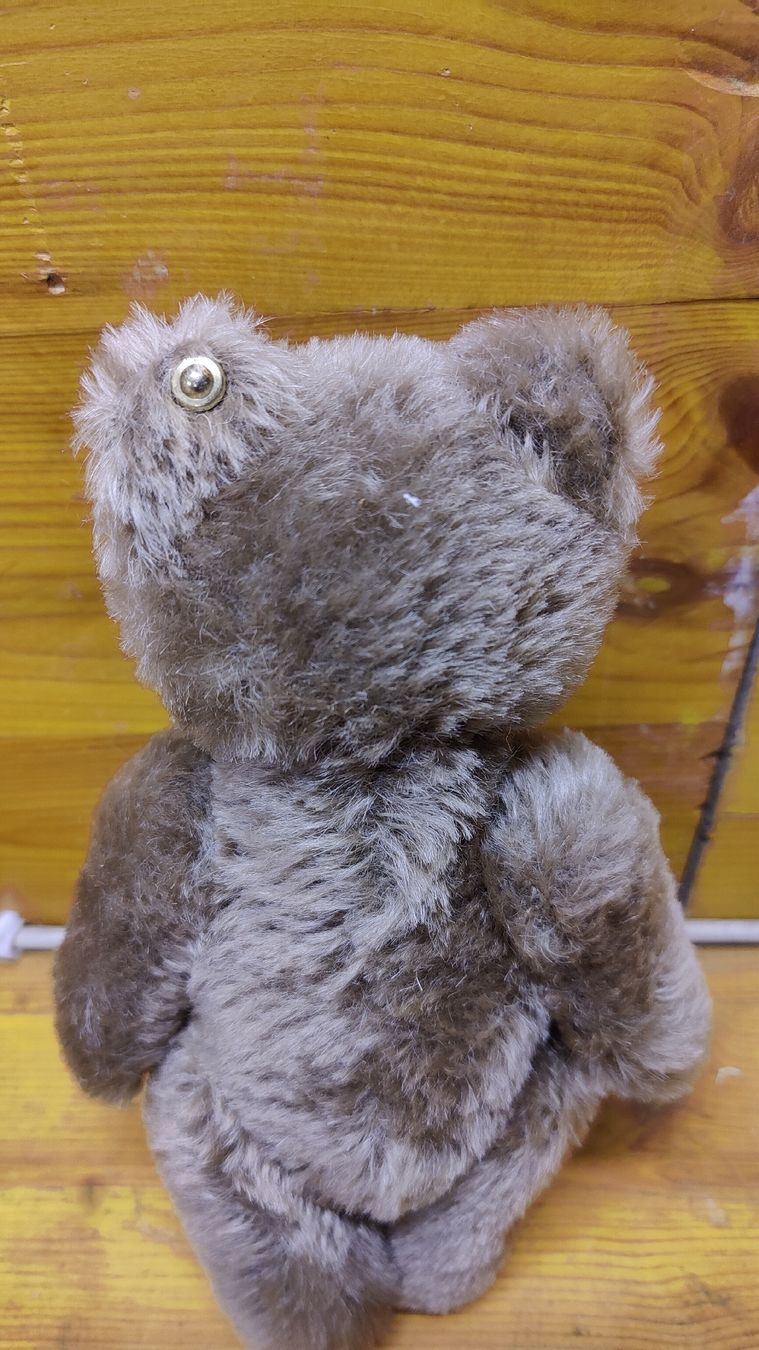 Steiff Giocattoli: Antiker Steiff Teddy, Teddybär (L10) – Usato da Neuenhof venduto da SchnaeppliAllerlei 4
