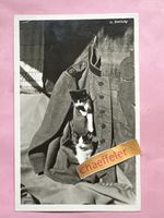 Militärpostkarte: In Stellung - ein Position - In posizione 