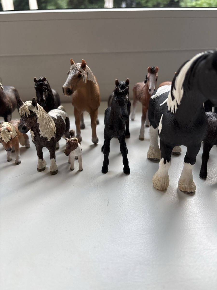 Schleich Giocattoli: 18 Stk. Schleich Pferde Figuren  – Usato da Nürensdorf venduto da MXFOX 3