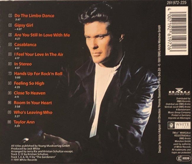 CD: David Hasselhoff - David – Usato da Grüningen venduto da azulgris 1
