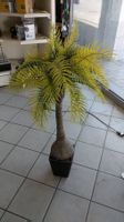 Kunstpalme aus dem Showroom
