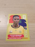 Panini WM 2026 RSA 7 