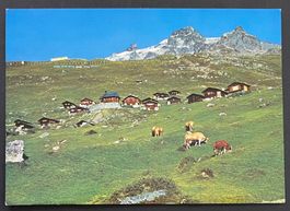 Hockenalp im Lötschental/ Klein und Gross Hockenhorn