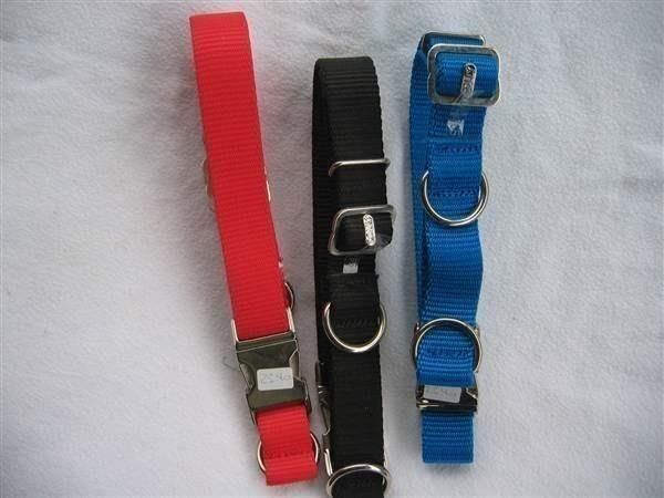 Leine & Halsband: Halsband 25 mm mit Metallverschluss – Neu (gemäss Beschreibung) aus Schübelbach von Bemafaja