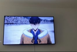 Philips Fernseher 55PUK4900/12 Dezember 2015