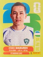 Panini FIFA World Cup UZB 11