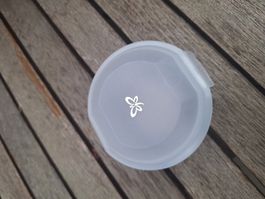Dose von Buchsteiner
