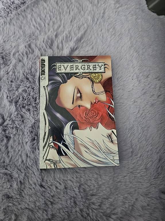 BD: Evergray Manga Band 1 – D'occasion à Bern par Swini