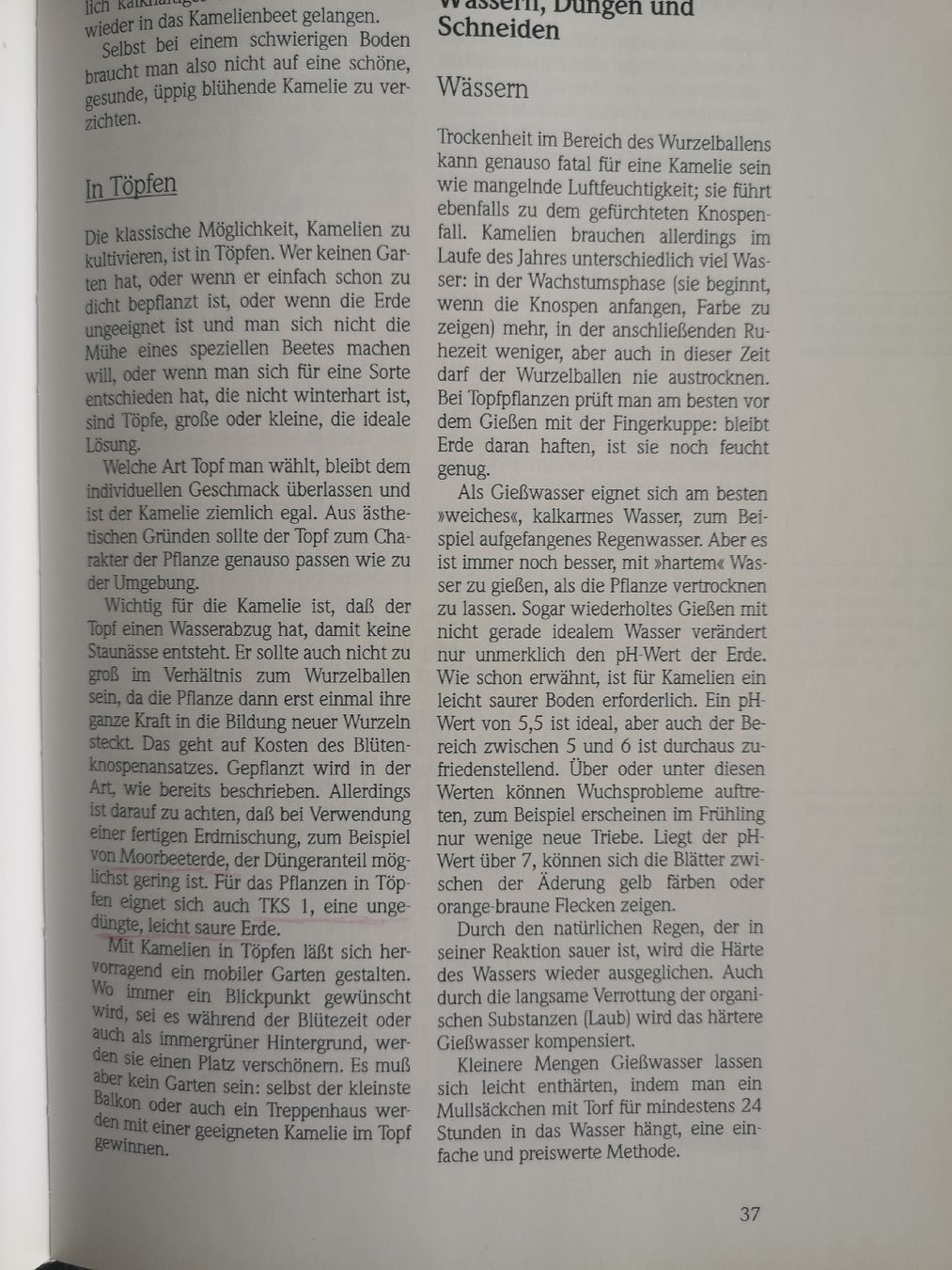 Libri: Kamelien Buch – Usato da Biel/Bienne venduto da Rosen21 2