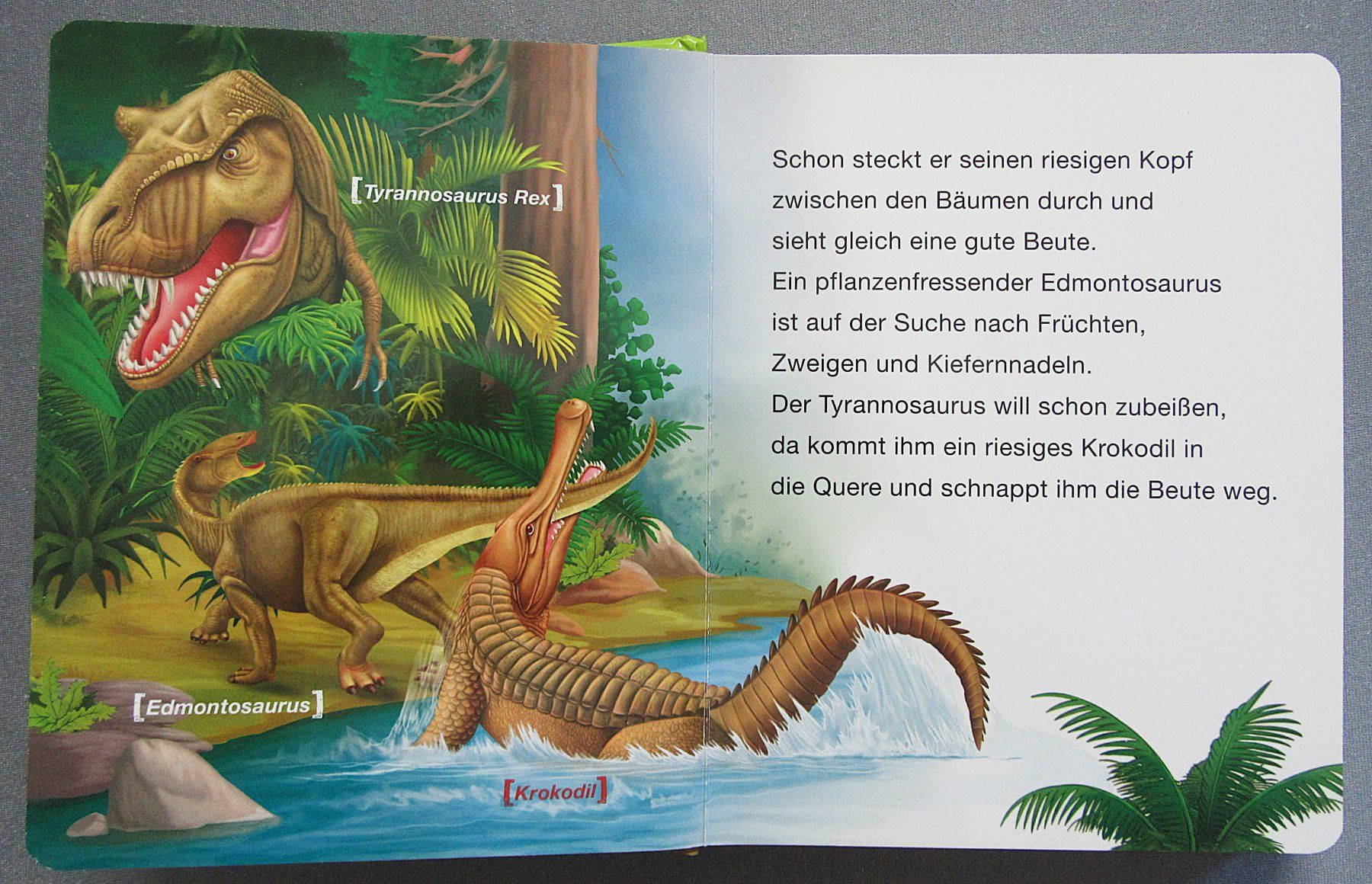 Bücher: Dinosaurier - Dinostarkes Vorlesebuch - Kindersachbuch – Gebraucht aus Auenstein von Padabimbim 2