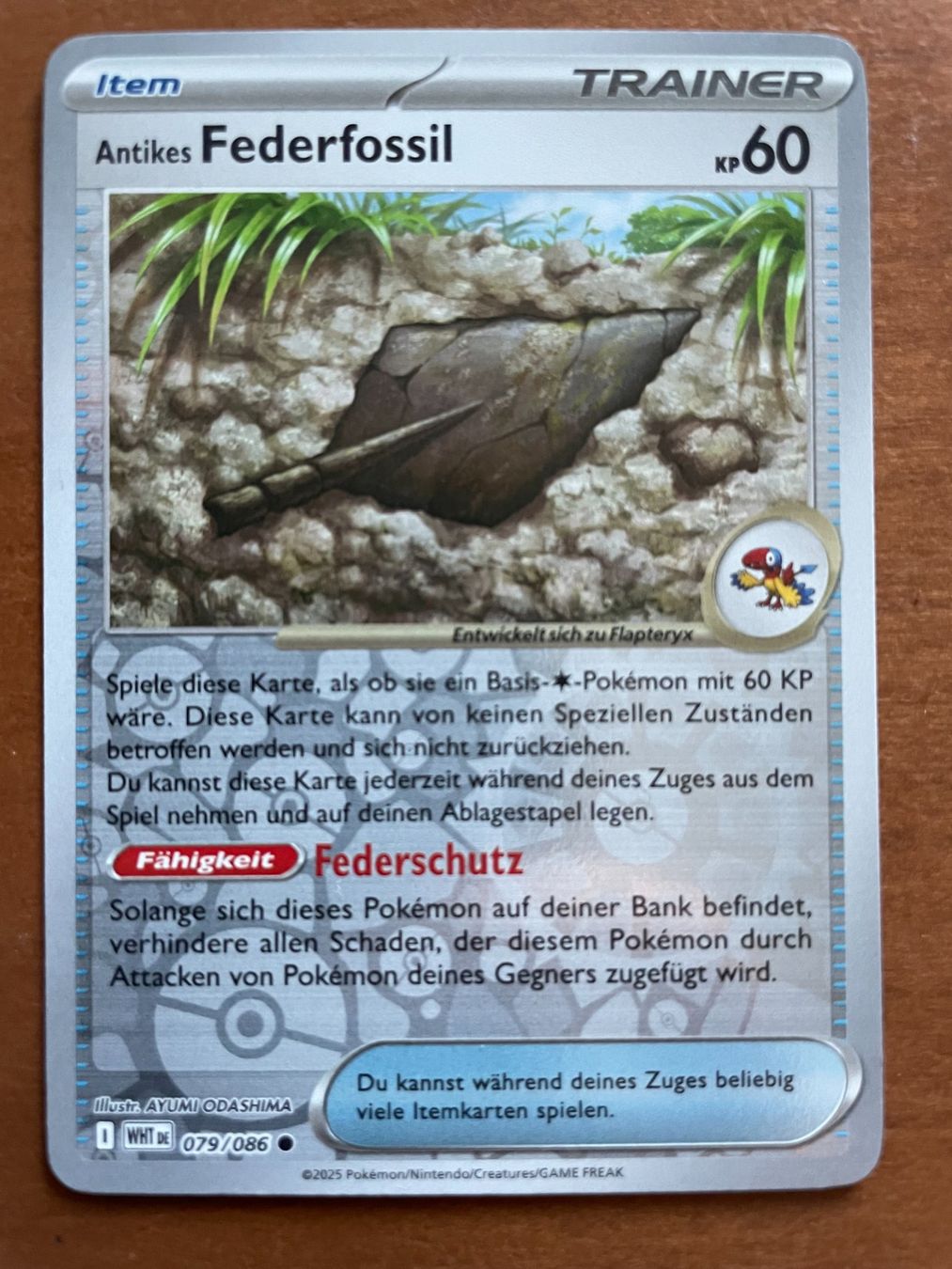 Pokémon Carte collezionabili: Pokemon Antikes Federfossil Reverse (Versand gratis) – Nuovo (secondo la descrizione) da Chur venduto da Angerson