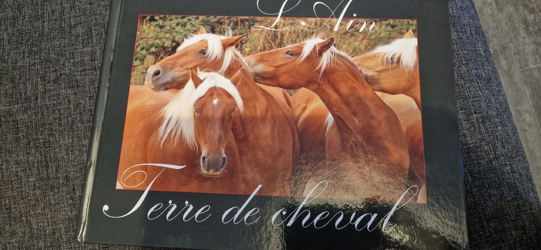 Libri: Livre "Chevaux de Légendes" état neuf – Usato da Siviriez venduto da Livre1971 2