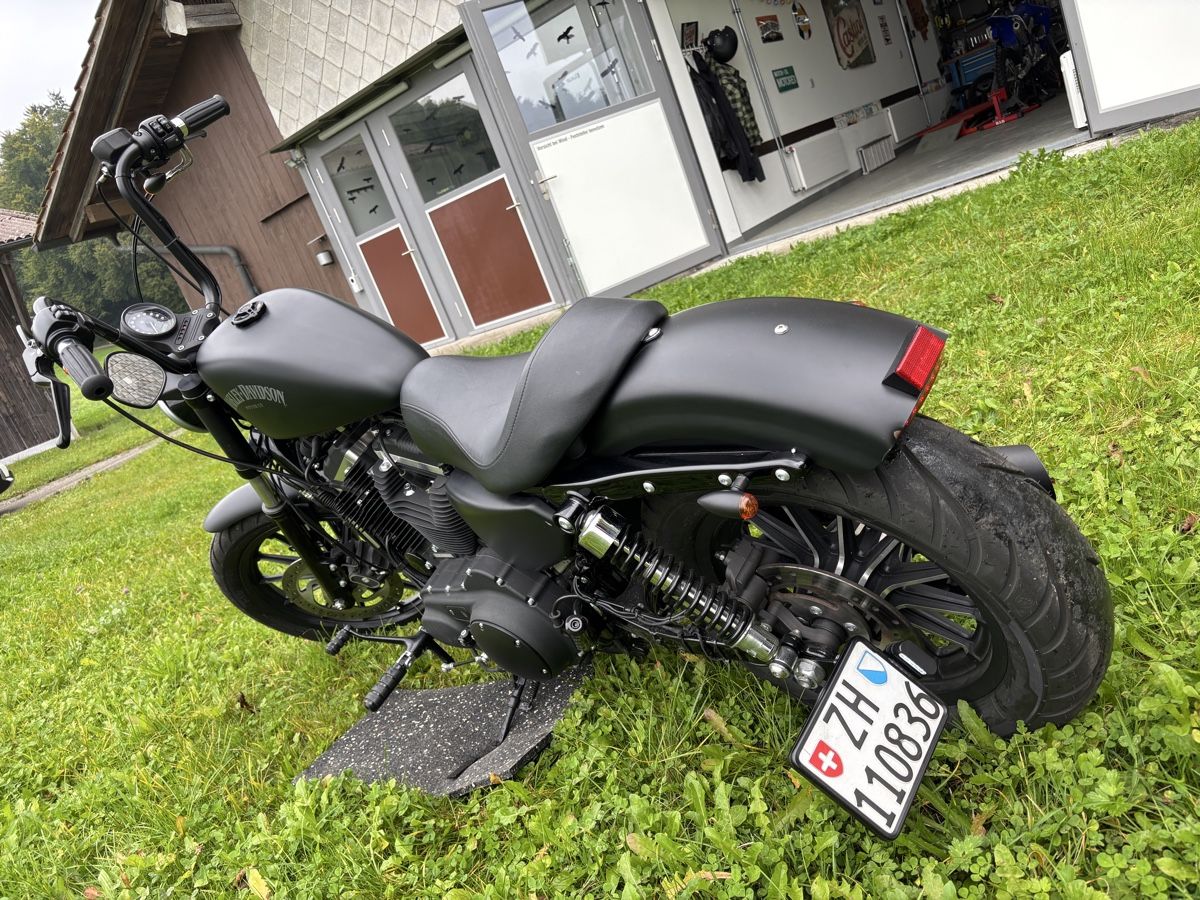 Chopper: Harley Davidson Sporster Iron 883 – Gebraucht aus Illnau von Zelgliservice 3