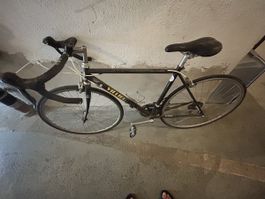 Rennvelo Villiger schwarz