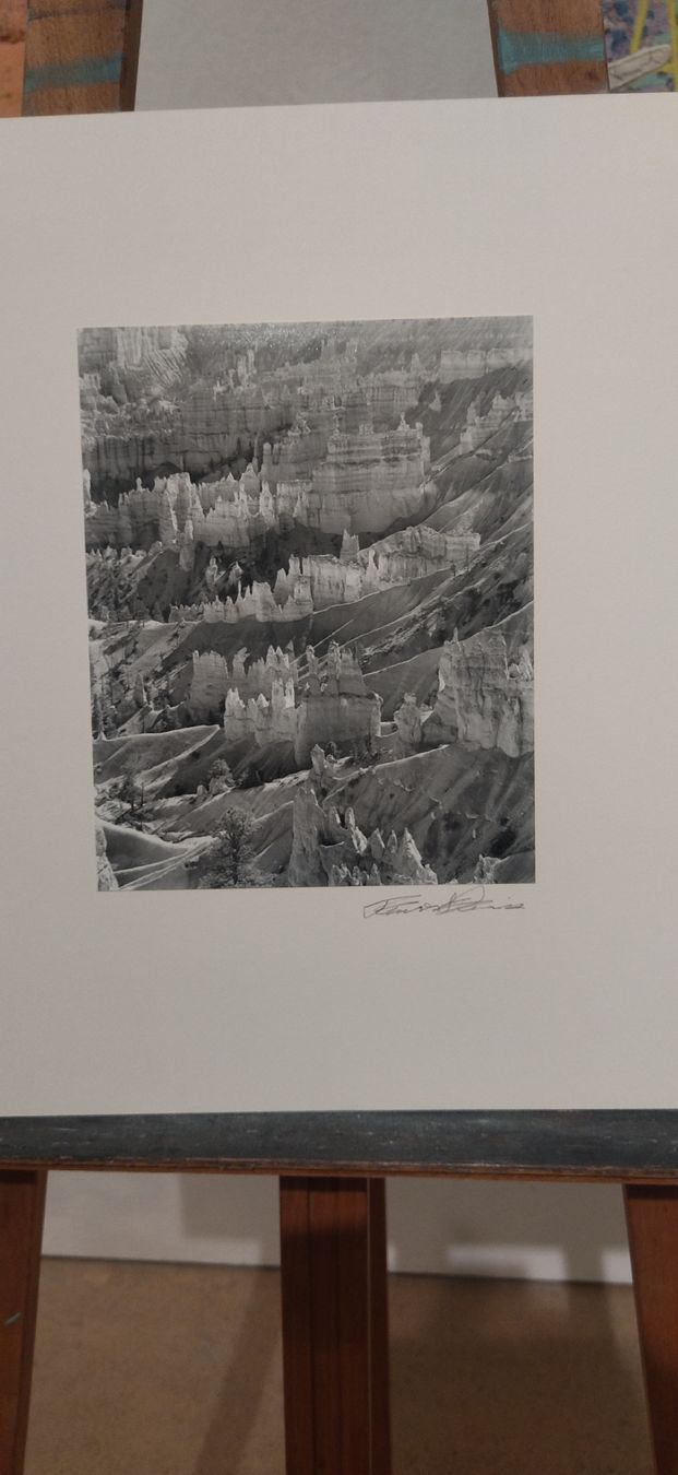 Libri: Portfolio Forest Davis Photographs, 1981 – Usato da Zürich venduto da Top-Deal-Schweiz 9