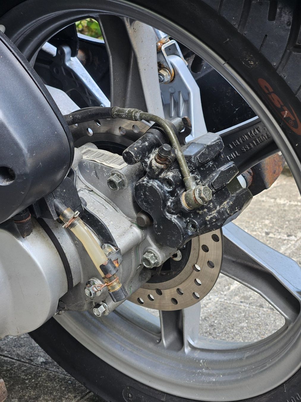 Tell Scooters: Tell Logik 125 | 445km | 2015 – Defekt aus Niederglatt ZH von lul_g9yv 4