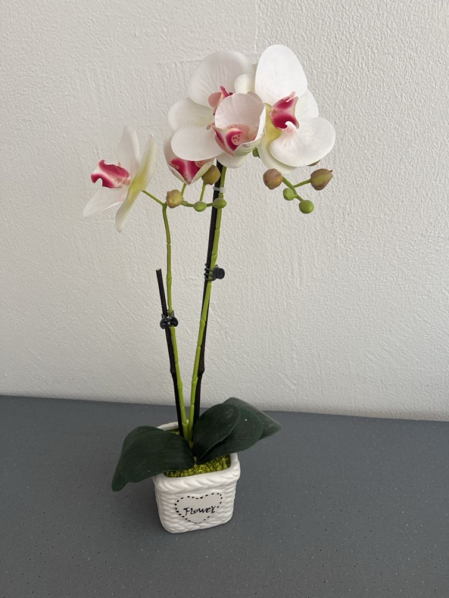 Tutte le decorazioni: Orchidea artificiale bianca e rosa in vaso decorativo – Usato da Bever venduto da anj_8lxr 1