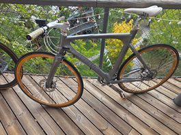 Avenue Urban Bike | Designrahmen | Shimano Tiagra