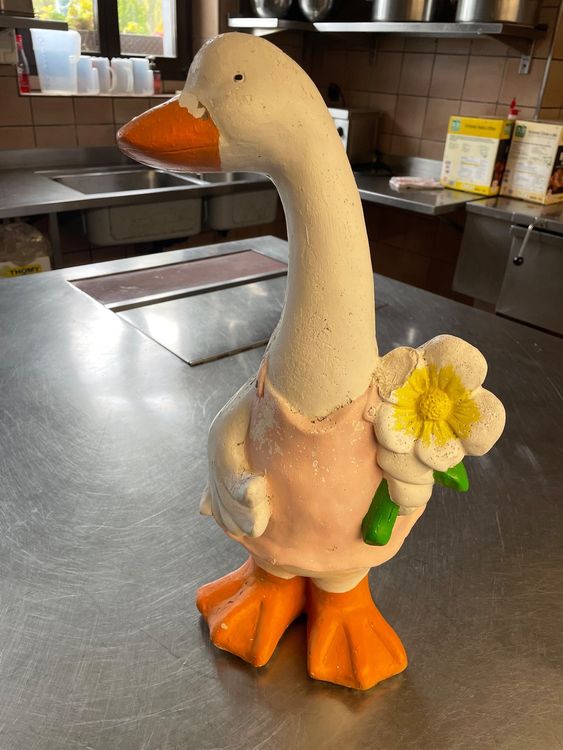 Halloween Veranda Gans Kostüm - Hexen-Outfit Mit Zubehör Für 58 Cm Gänsestatuen