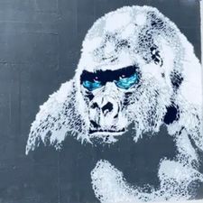 Profile image of tol_swe