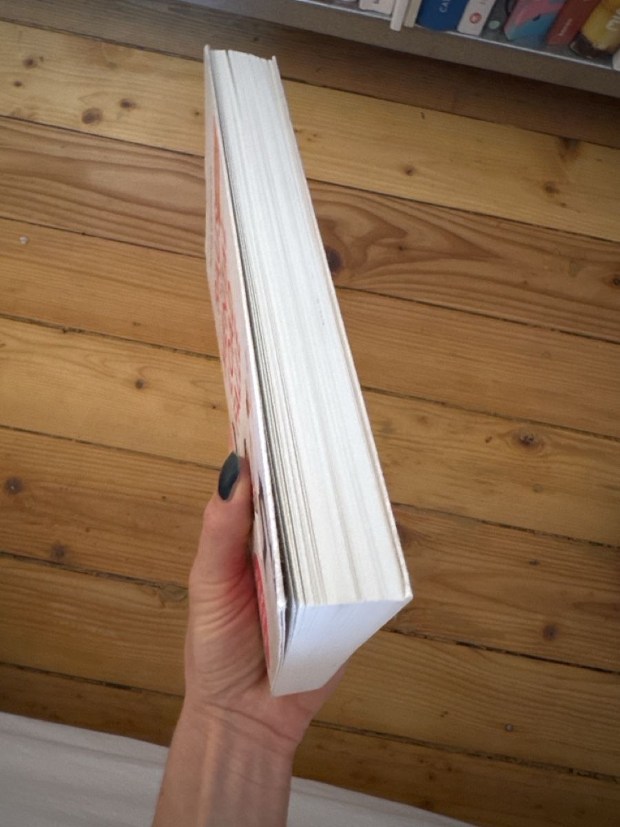 Libri: RAUS AUS DER MENTAL LOAD FALLE – Usato da Luzern venduto da annbrun 1
