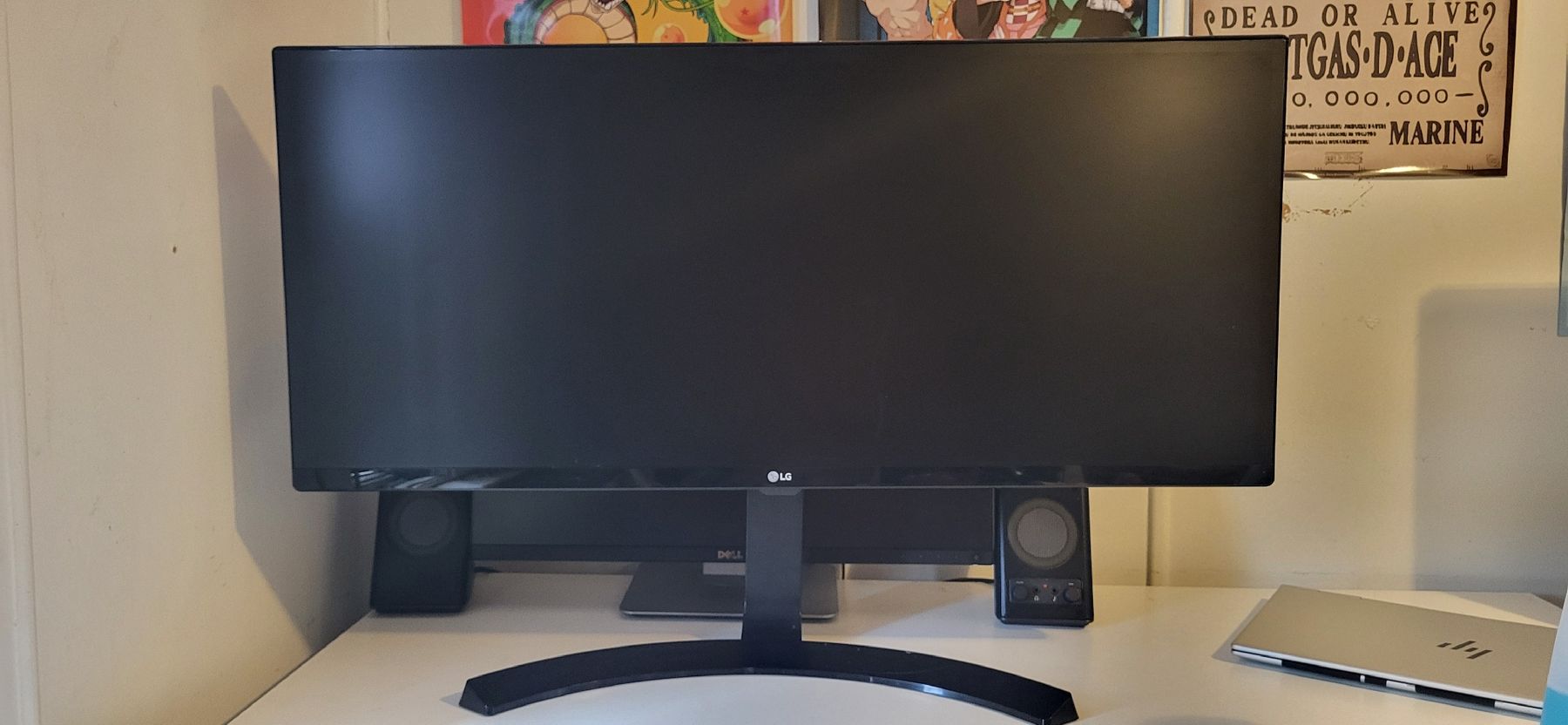 Ecrans: LG Monitor – D'occasion à Waldstatt par Durstigog